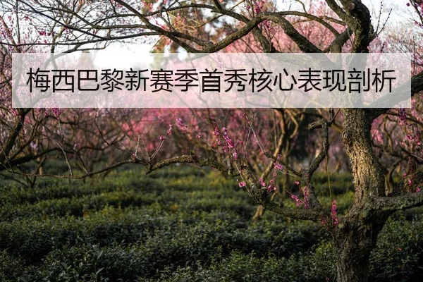 梅西巴黎新赛季首秀核心表现剖析